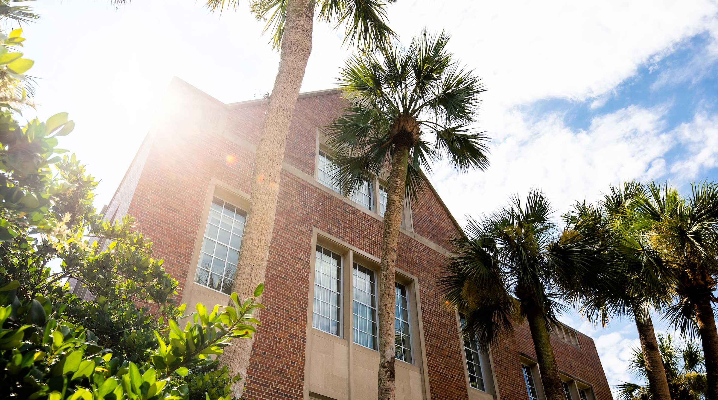 UF sunshine and palm trees